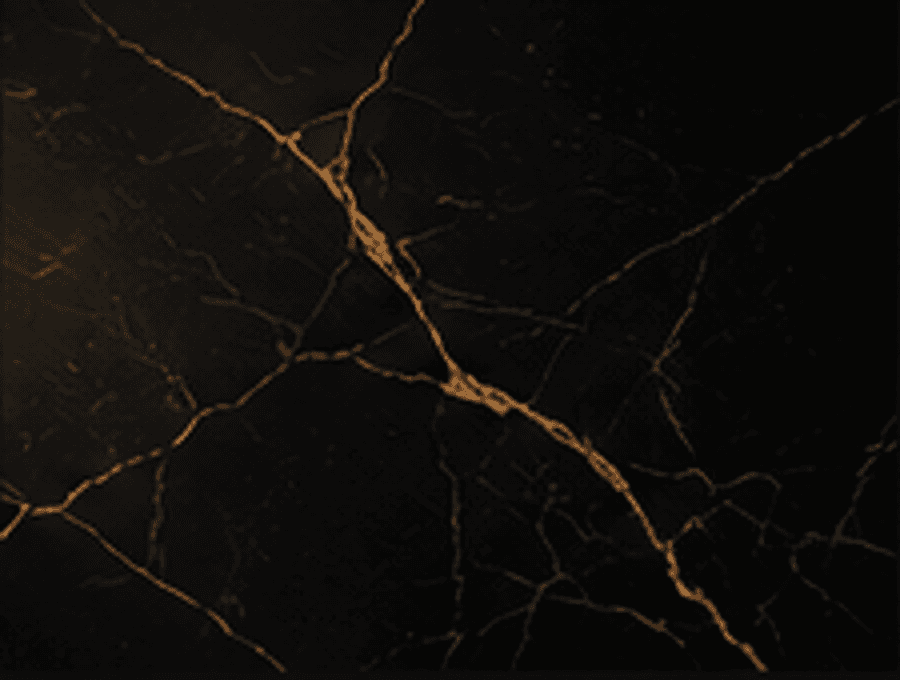 Black marble and gold detail